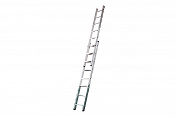 51079619